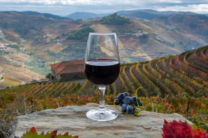壮大な自然をバックに、グラスワインと葡萄の画像