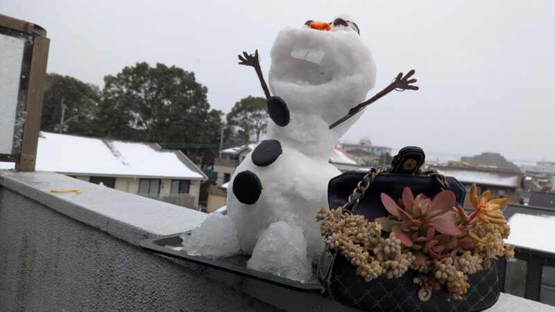 愛染錦・黄麗・姫秋麗