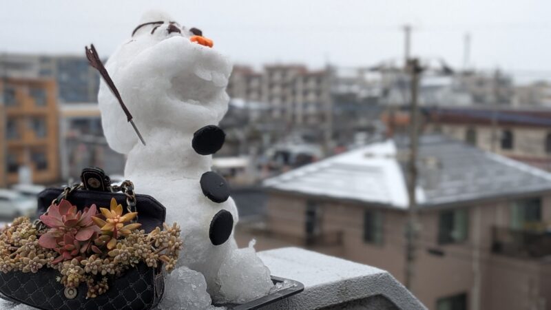愛染錦・黄麗・姫秋麗