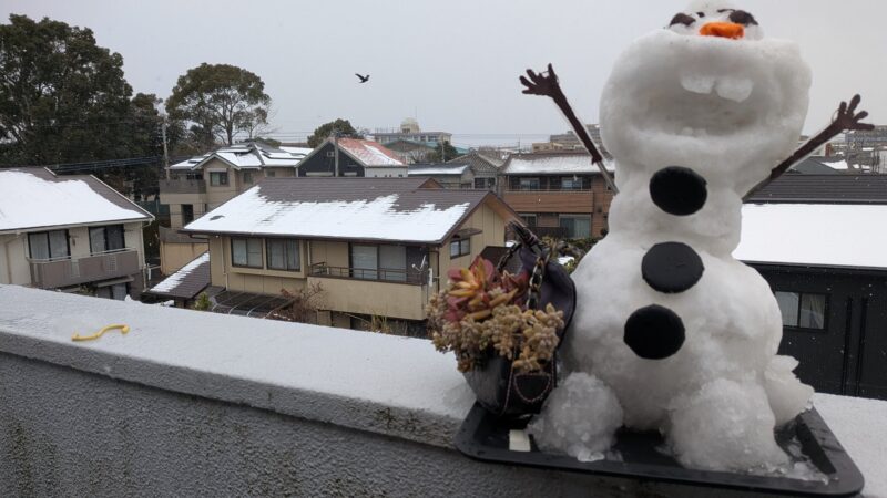 愛染錦・黄麗・姫秋麗