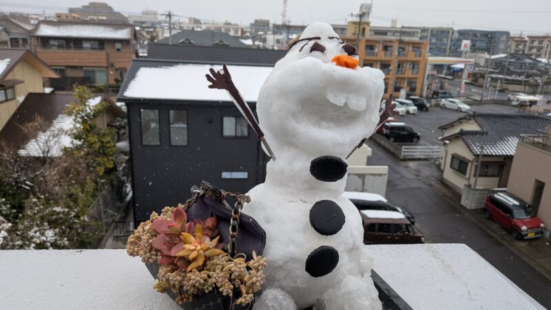 愛染錦・黄麗・姫秋麗
