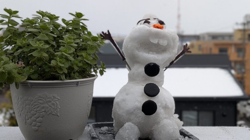 アロマティカス