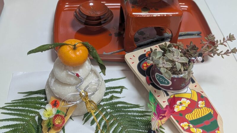 リトルビューティー、朧月、桜吹雪、だるま秀麗