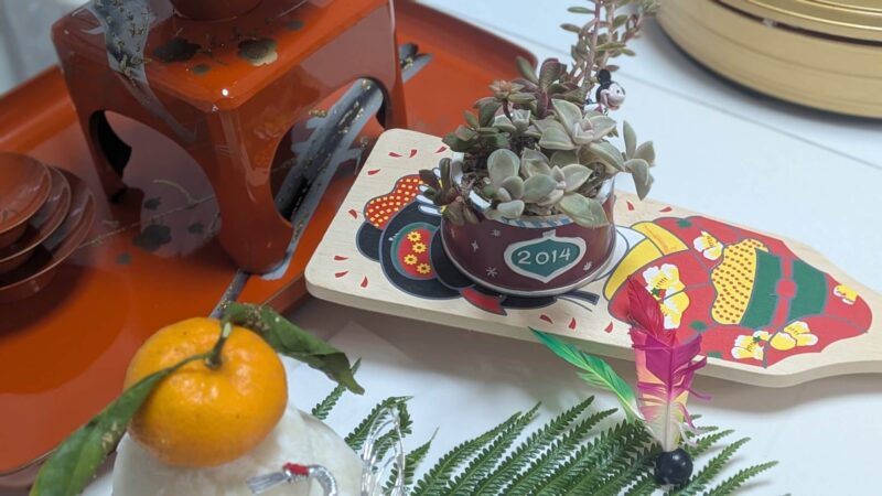 リトルビューティー、朧月、桜吹雪、だるま秀麗