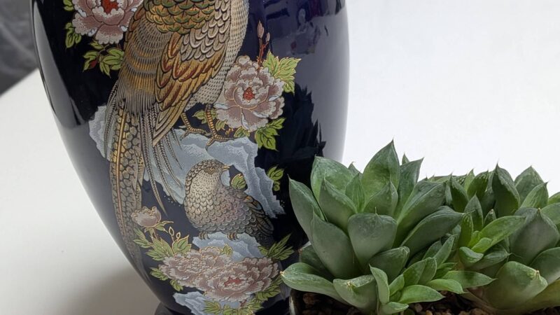 ハオルチア宝草